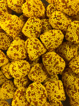 Schepsnoep Kies & Mix