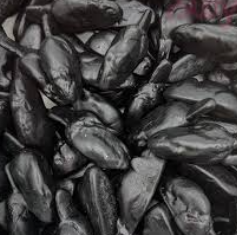 Schepsnoep Kies & Mix