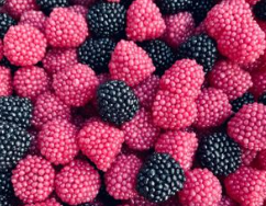 Schepsnoep Kies & Mix