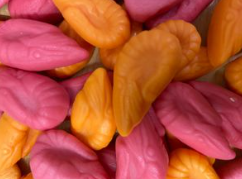 Schepsnoep Kies & Mix