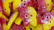 Schepsnoep Kies & Mix